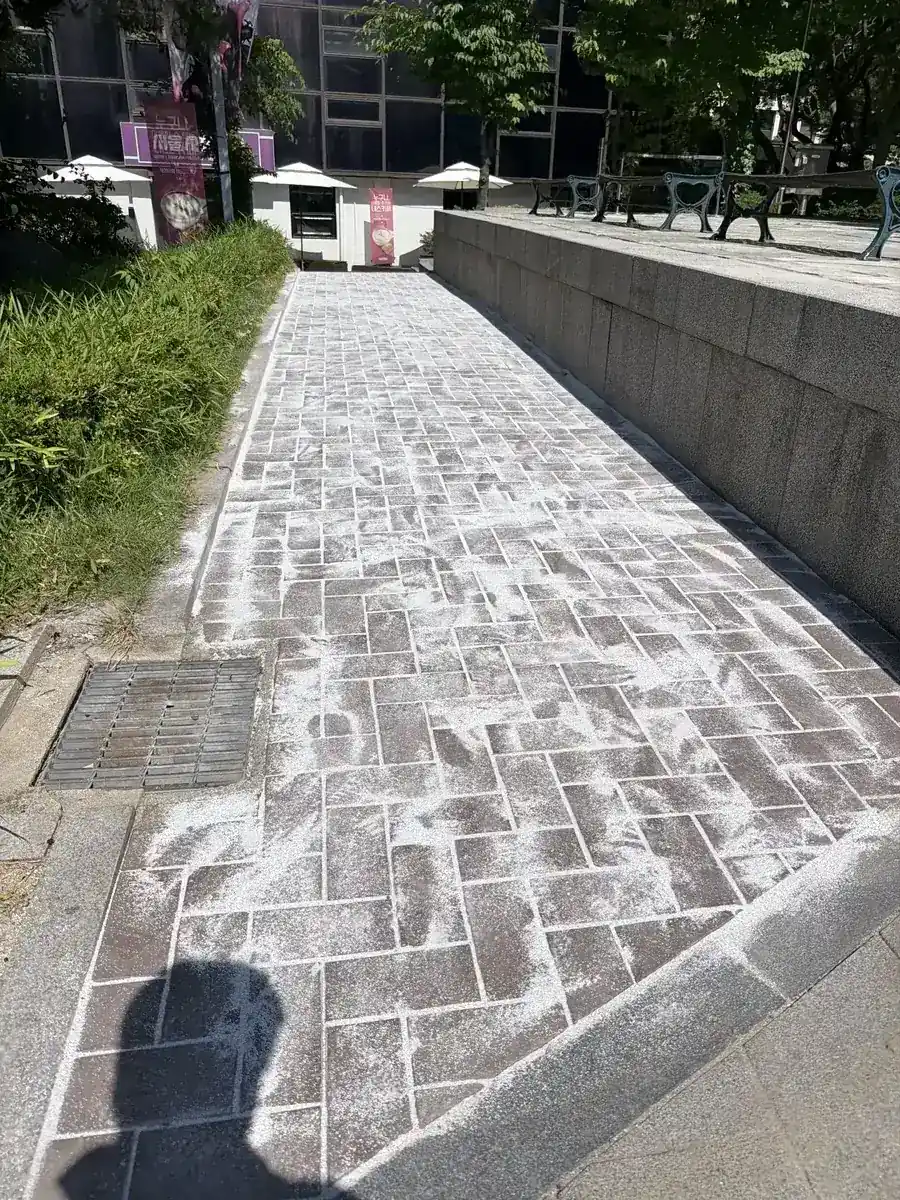 서울시립미술관 보행로 인도블럭보수 후 줄눈 마감